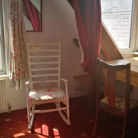 Seal, Comfortable Family * Whitby