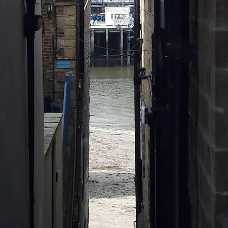 Seal, Comfortable Family *