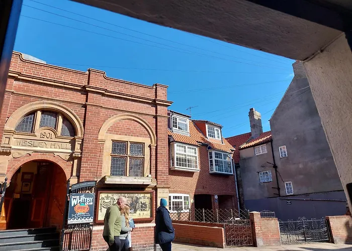 Seal, Comfortable Family Whitby